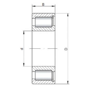 المحامل NCF2209 V CX