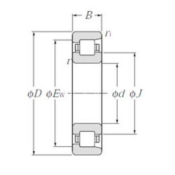 المحامل NF204 CYSD