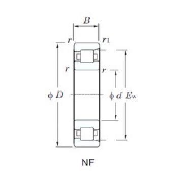 المحامل NF307 KOYO