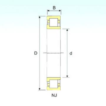 المحامل NJ 2205 ISB