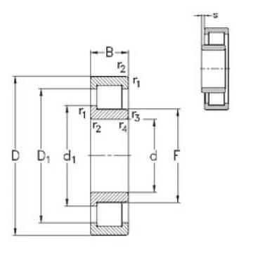 المحامل NJ2217-E-MA6 NKE