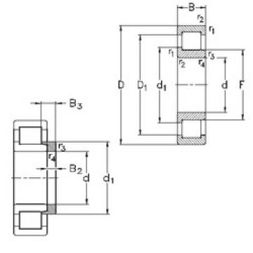 المحامل NJ204-E-TVP3+HJ204-E NKE