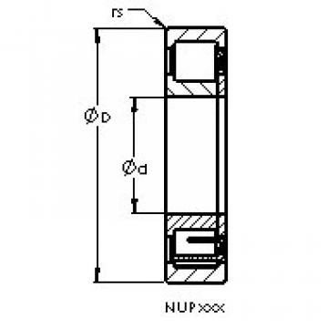 المحامل NUP217 E AST