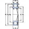 المحامل S7000 CD/HCP4A SKF #1 small image