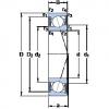 المحامل S71910 ACE/HCP4A SKF #1 small image