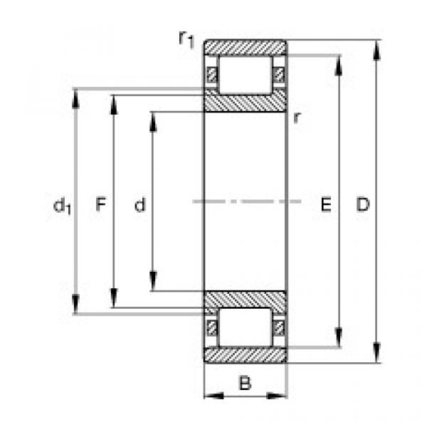 المحامل N248-E-TB-M1 FAG #1 image