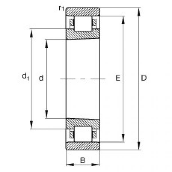 المحامل N1007-K-M1-SP FAG #1 image