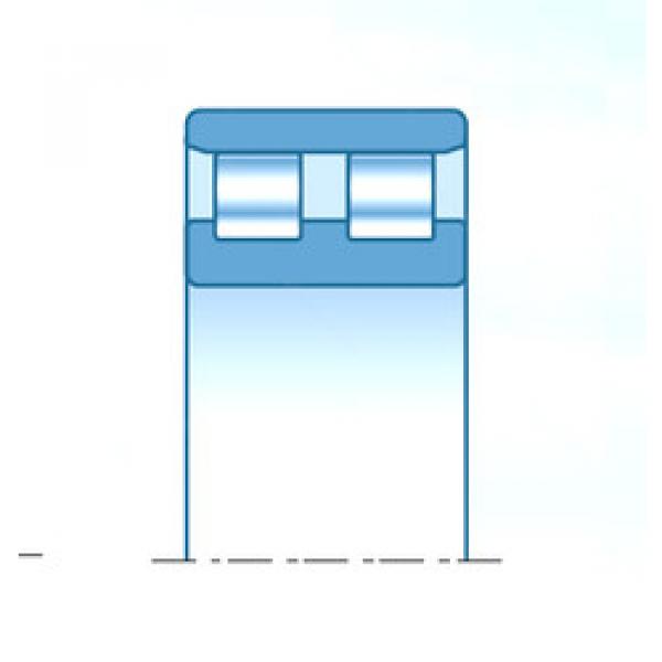 المحامل NN30/600KW-3D1CS120P5 NTN #1 image