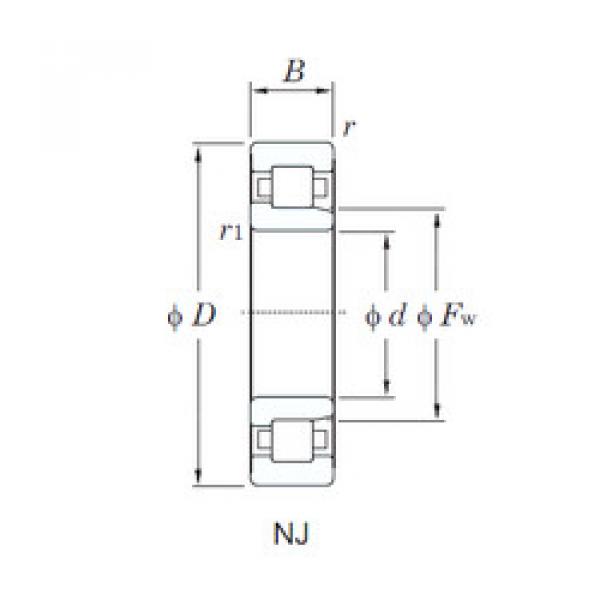 المحامل NJ309R KOYO #1 image