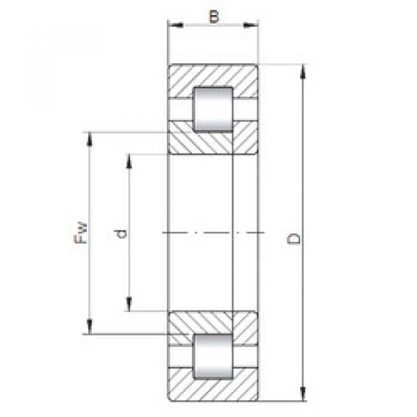 المحامل NUP216 E CX #1 image