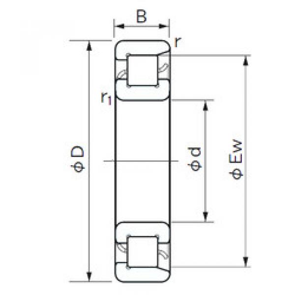 المحامل NF 1015 NACHI #1 image