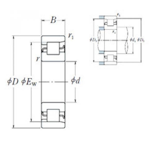 المحامل NF 211 NSK #1 image