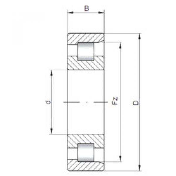 المحامل NF205 E CX #1 image