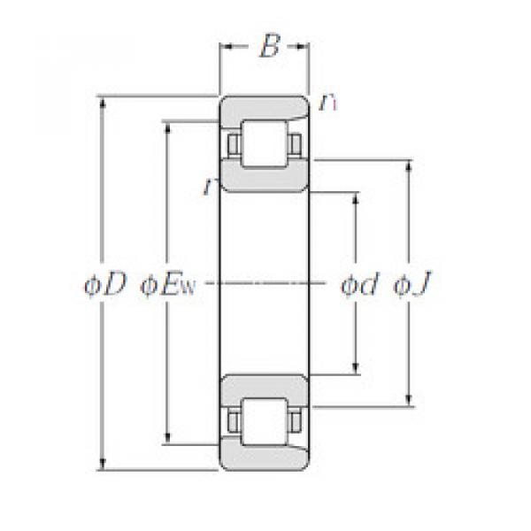 المحامل NF204 CYSD #1 image