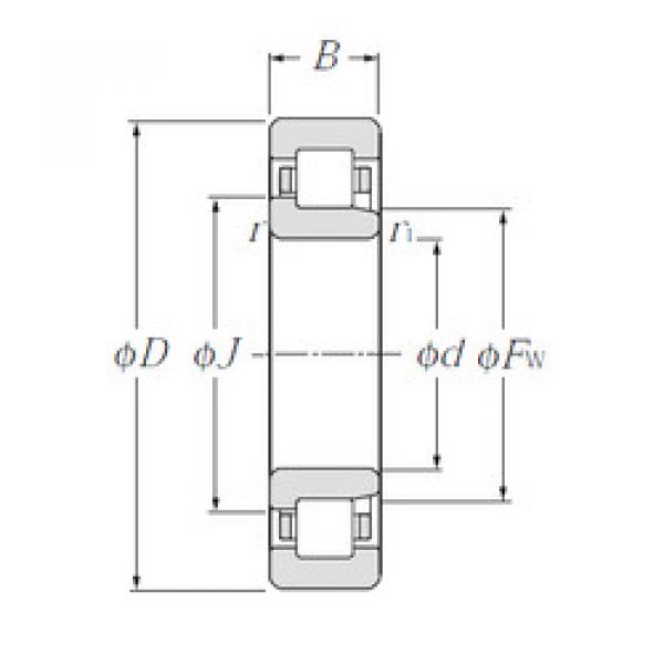 المحامل NJ214E CYSD #1 image