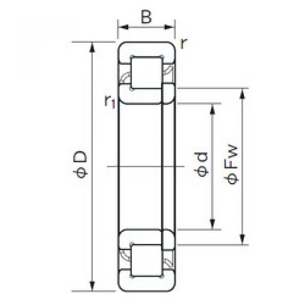 المحامل NUP 1060 NACHI #1 image