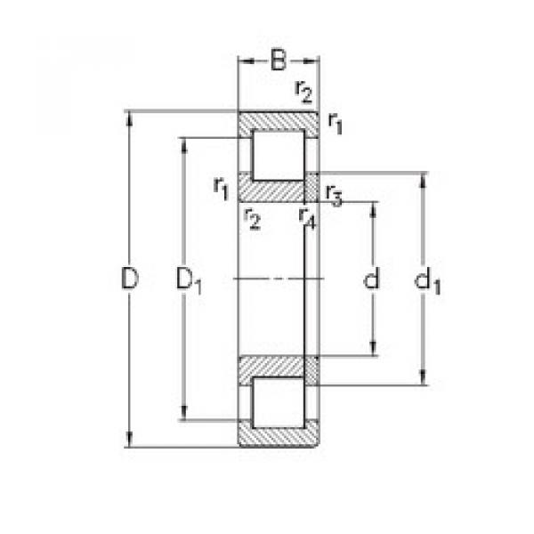 المحامل NUP2219-E-MPA NKE #1 image