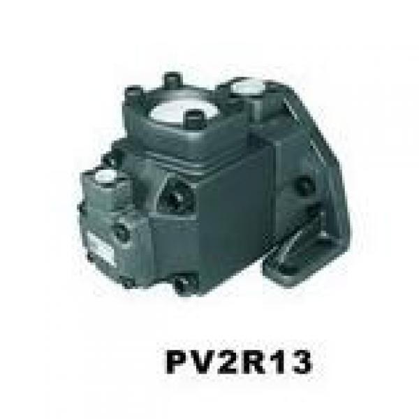  USA VICKERS Pump PVM045ER05CS02AAA07000000A0A #4 image